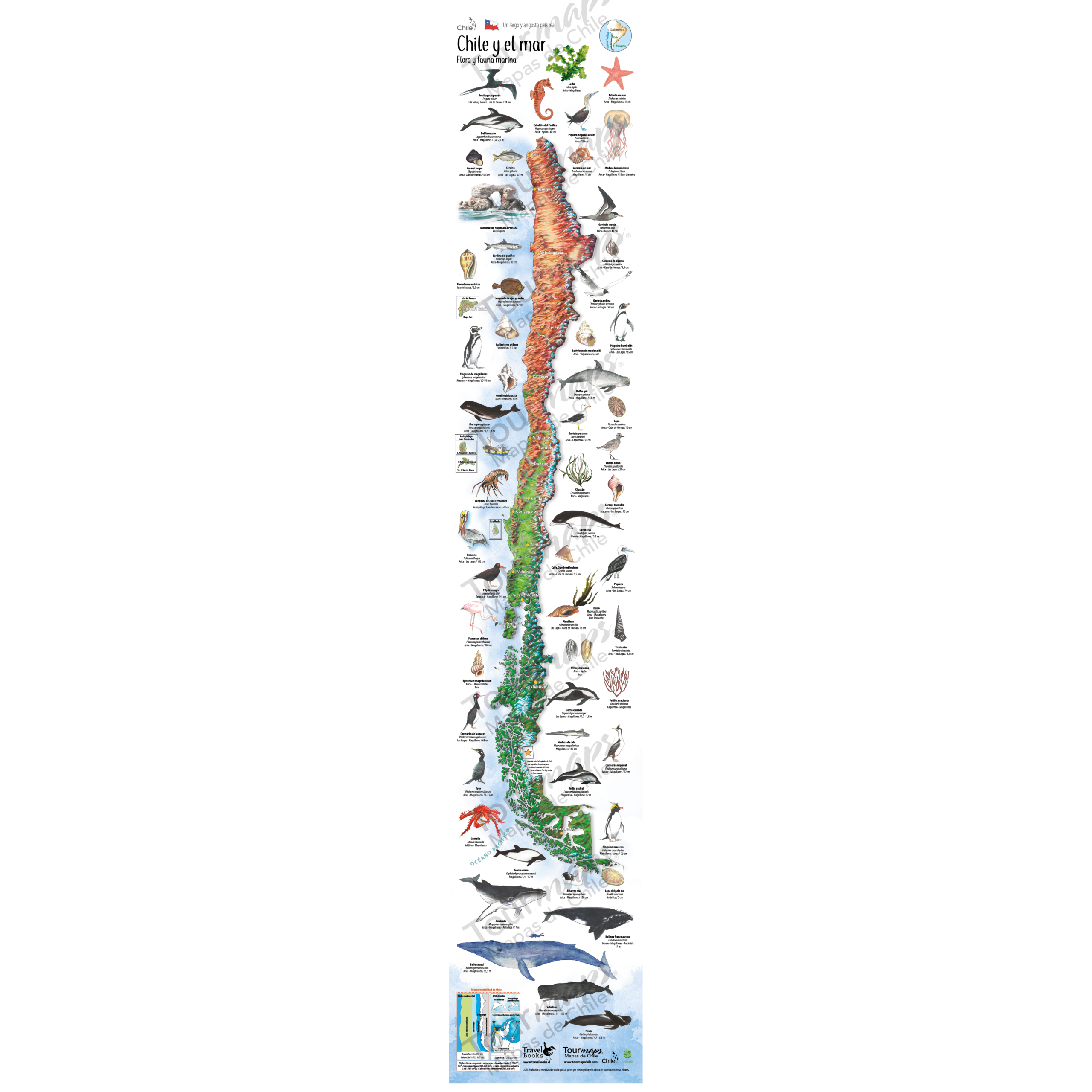 chile-y-el-mar-tourmaps.png