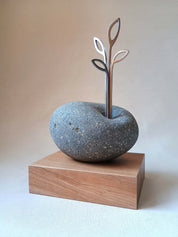 Contener y Ser Contenido