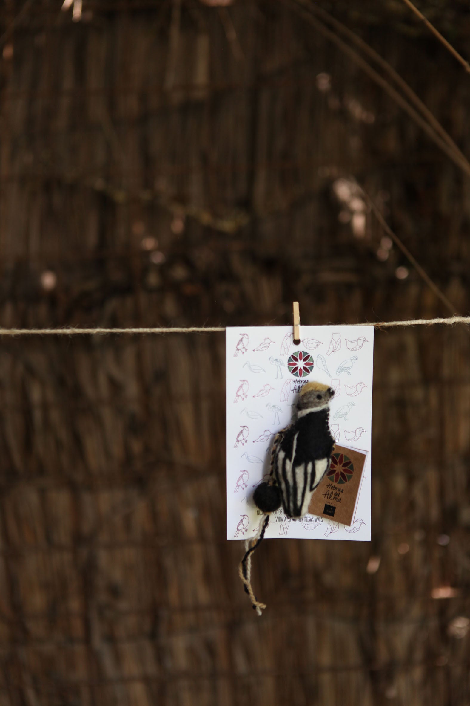 Pajarito marca libro Condor Negro