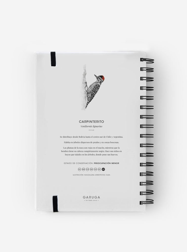 Cuaderno Carpinterito - Creado en Chile