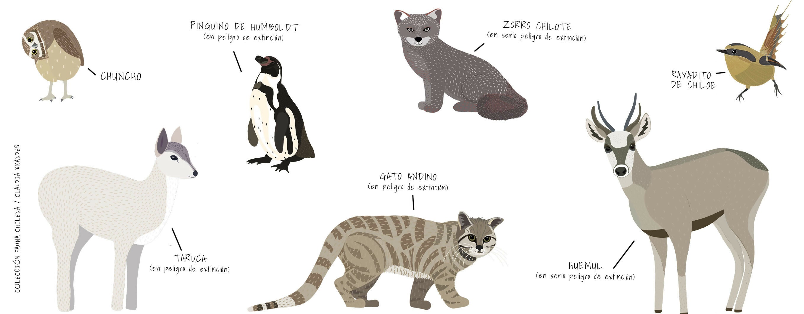 1 TAZONES FAUNA EN EXTINCION copia