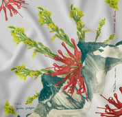 WhatsApp Image 2025-06-24 at 11.53.16 AM