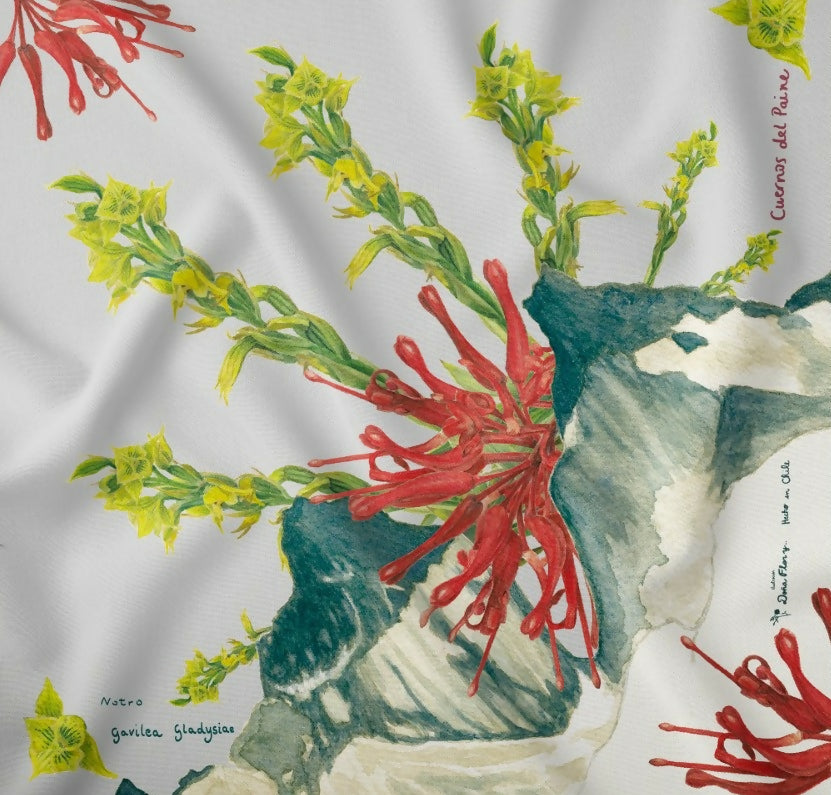 WhatsApp Image 2025-06-24 at 11.53.16 AM