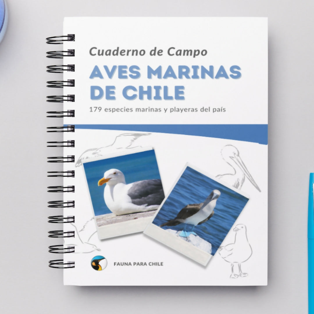 Cuaderno de Campo Aves Marinas de Chile