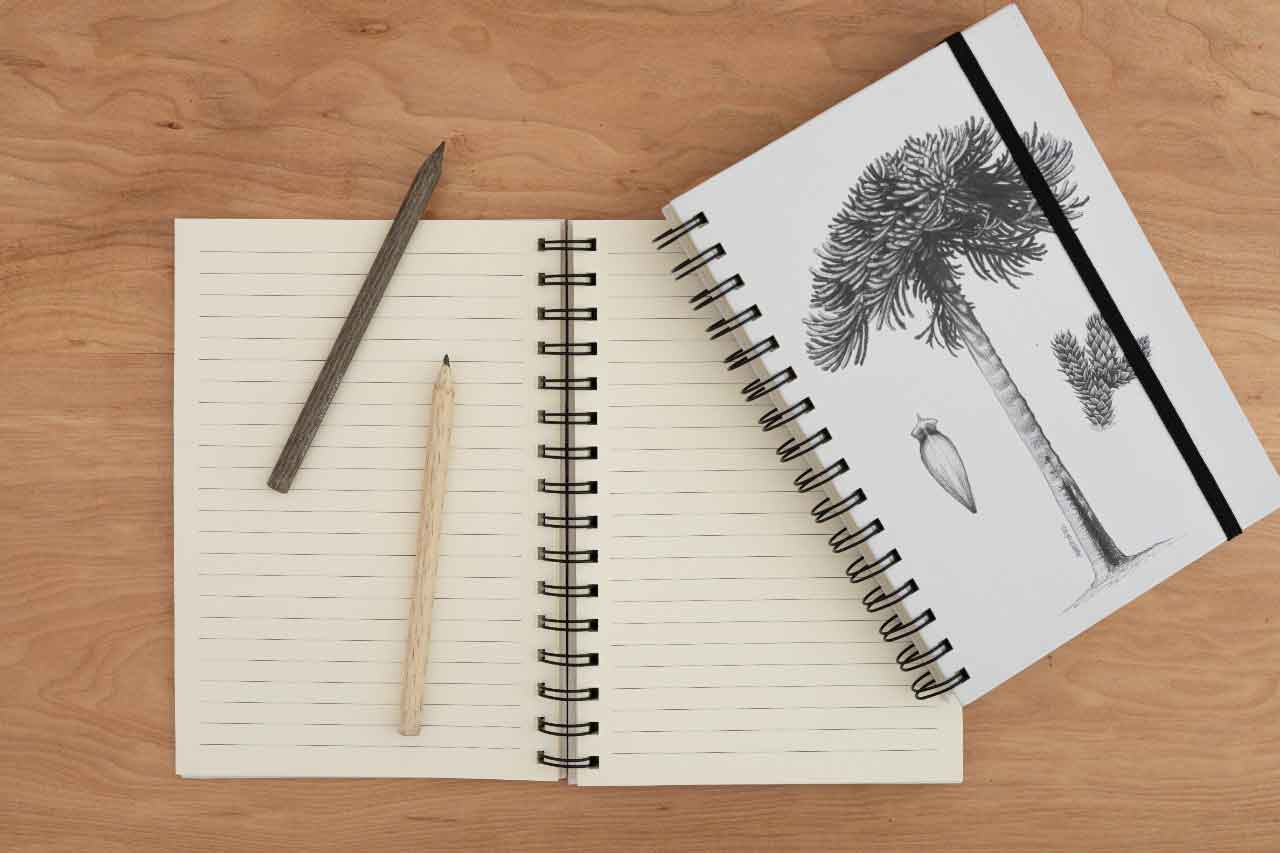 Cuaderno Carpinterito - Creado en Chile