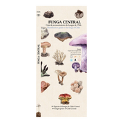 FUNGA CENTRAL 89 Especies