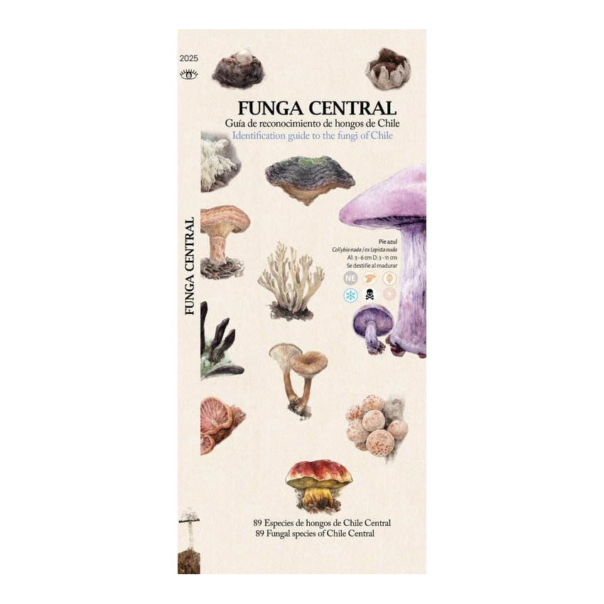 FUNGA CENTRAL 89 Especies