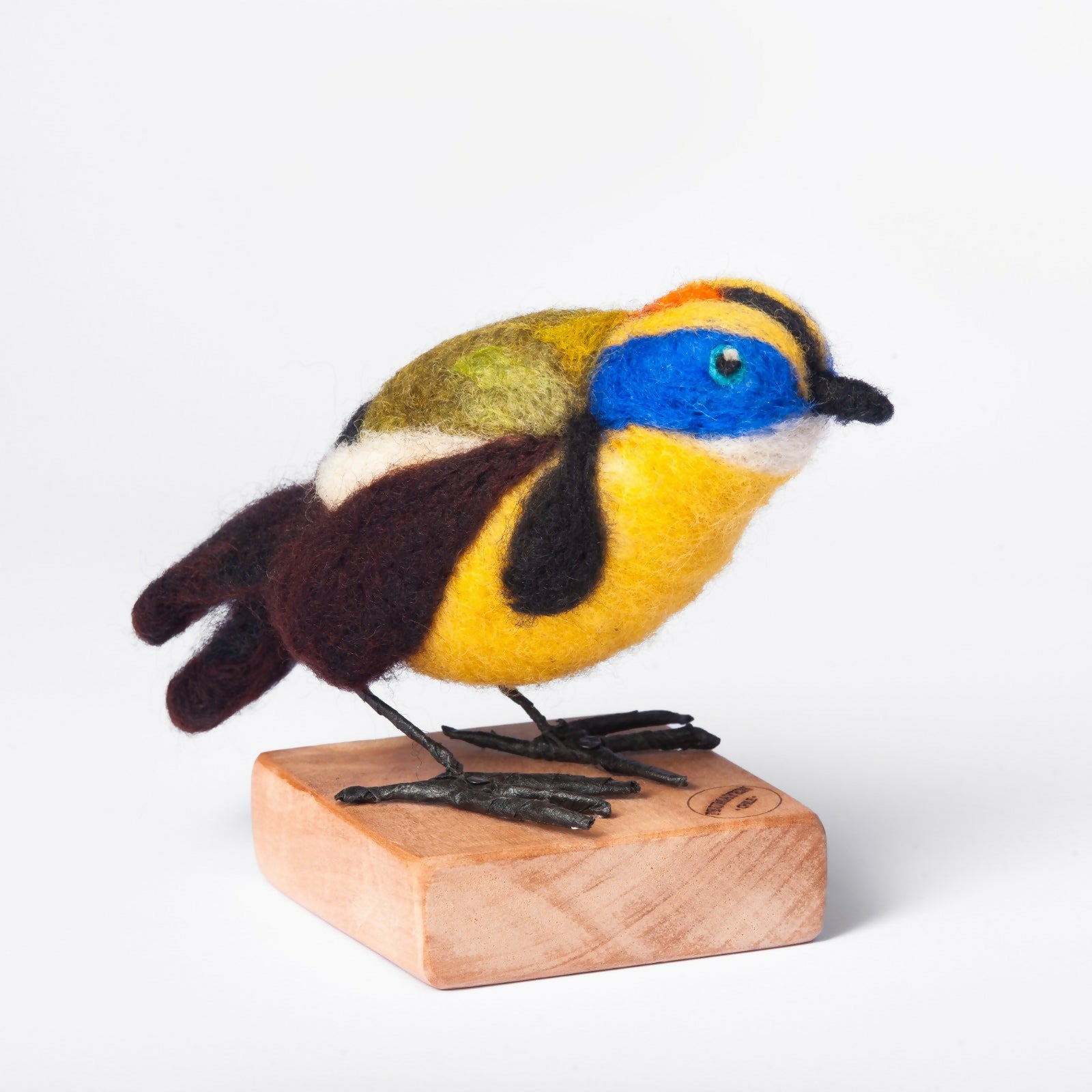 Siete Colores Ave Chilena