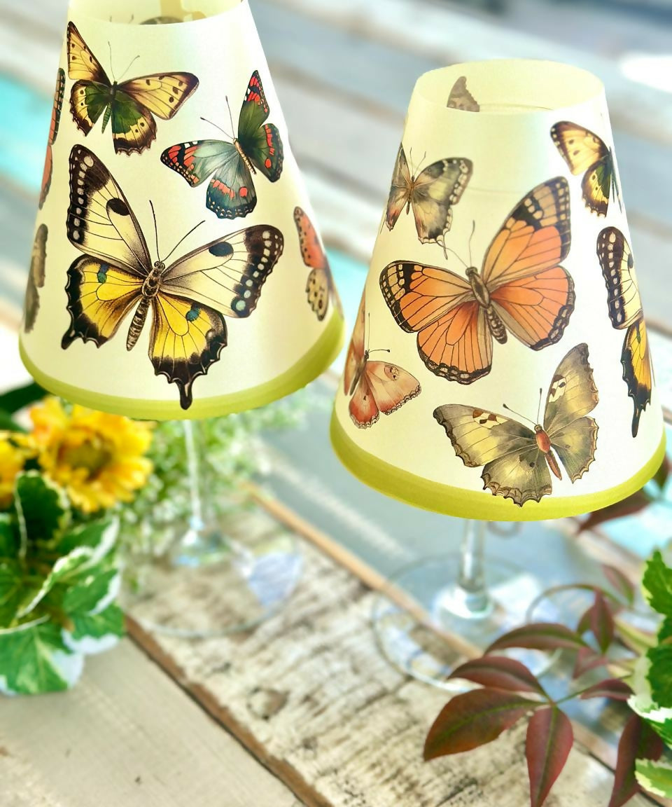 pantalla 2 mariposas vintage