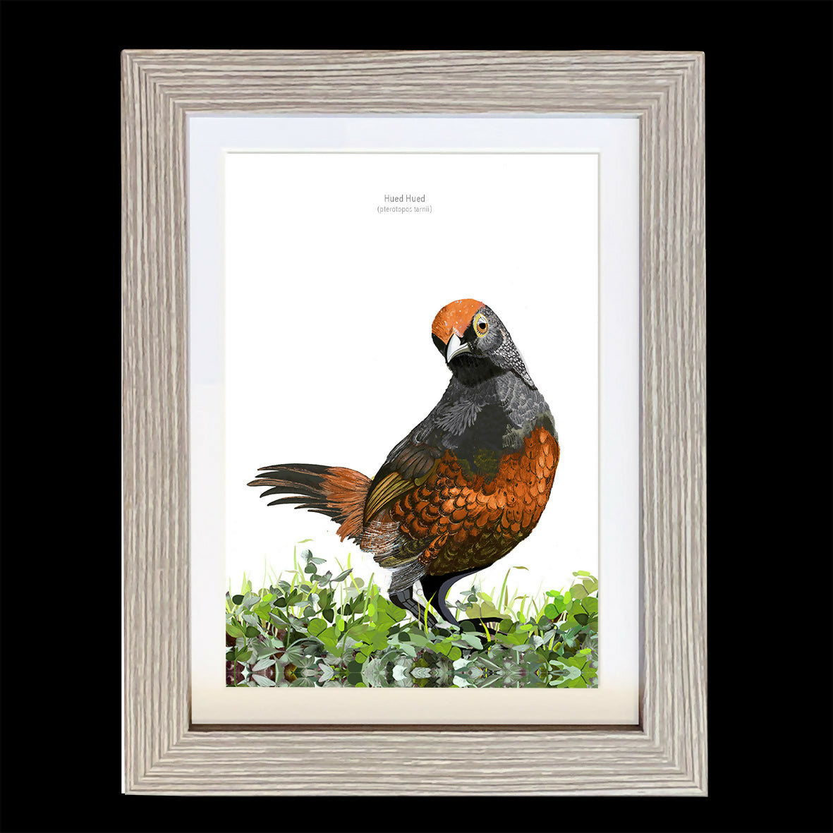 CUADRO HUEDHUED A1 VGO con paspartu copia