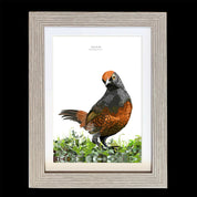 CUADRO HUEDHUED A1 VGO con paspartu copia