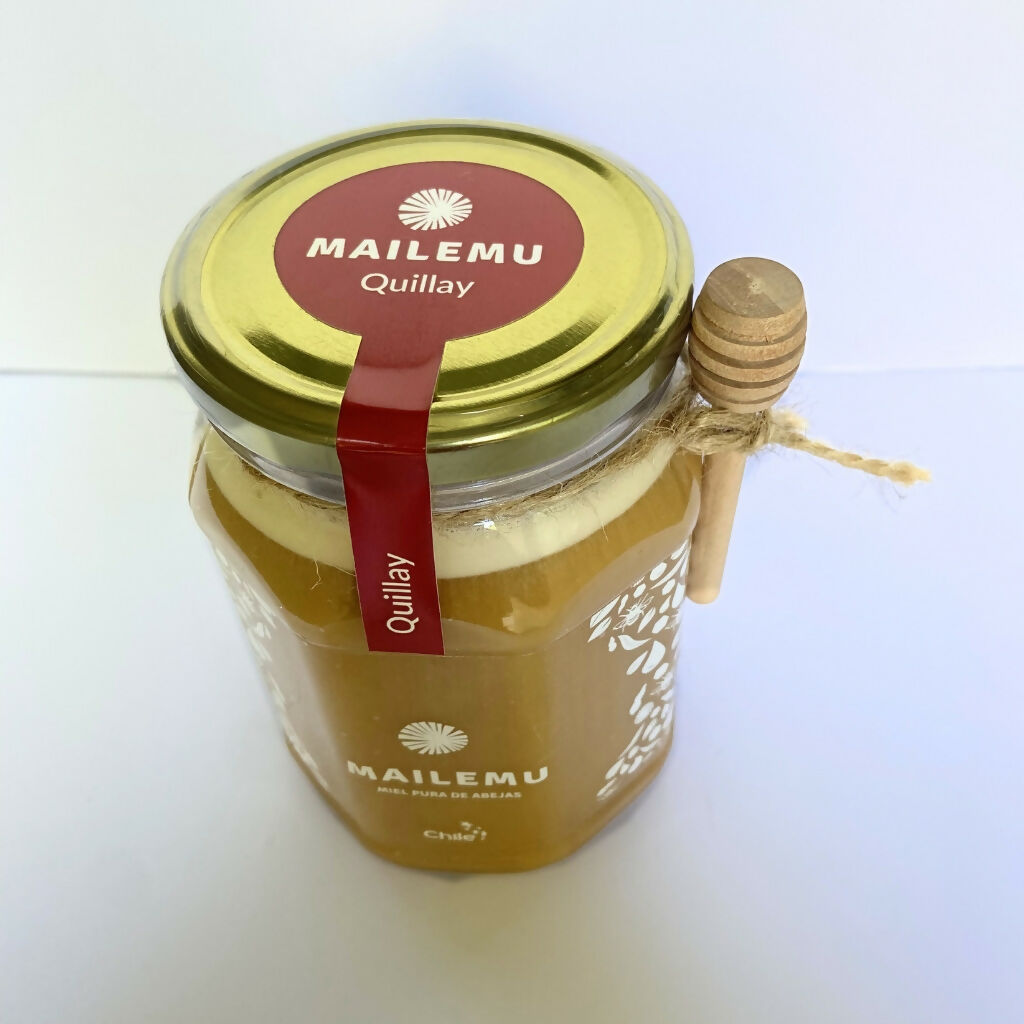 Miel de Quillay 1kg Mailemu