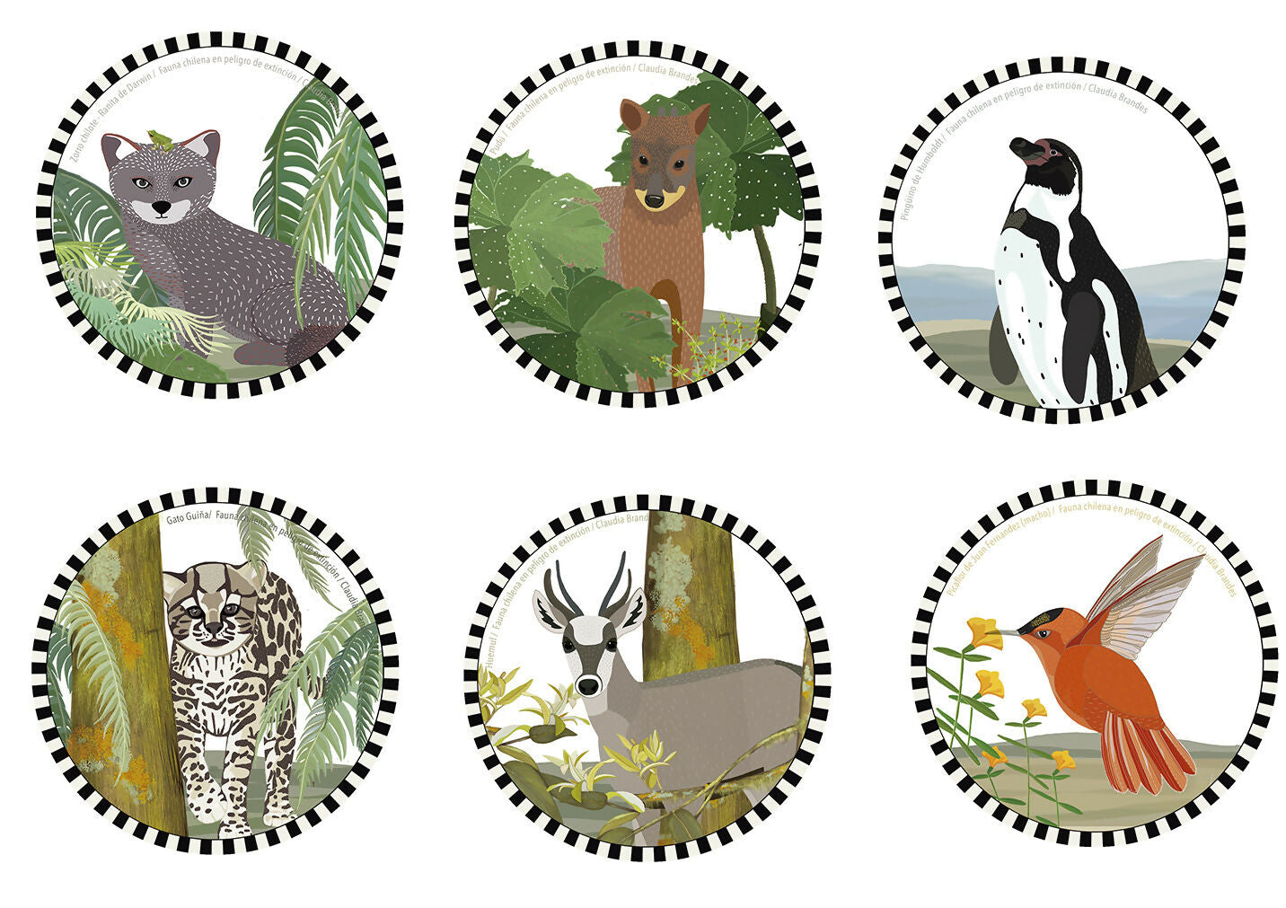 Set 6 Posavasos Fauna chilena en peligro (6 ilustraciones diferentes )