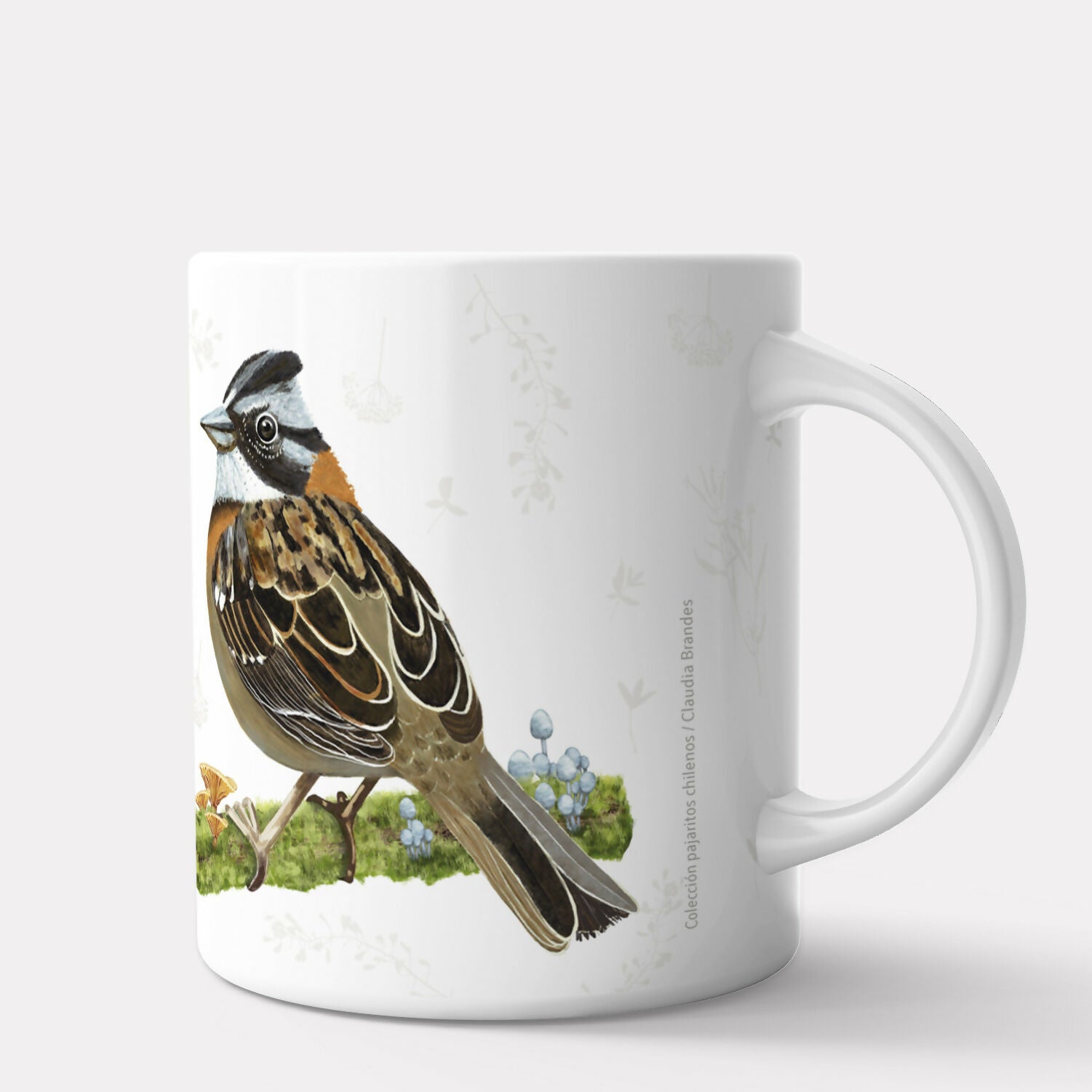 CHINCOL TAZON POST 2