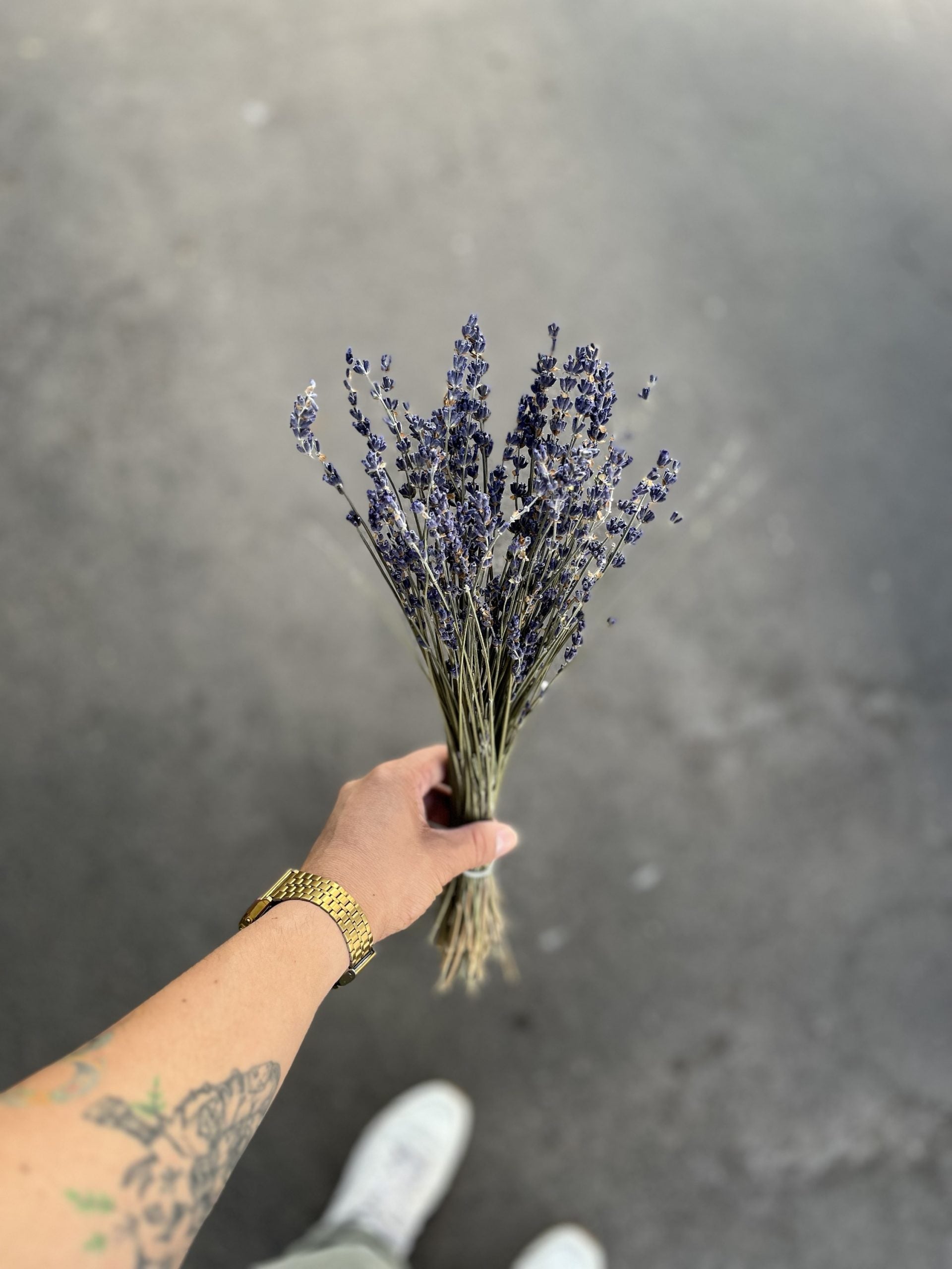 Lavanda Larga