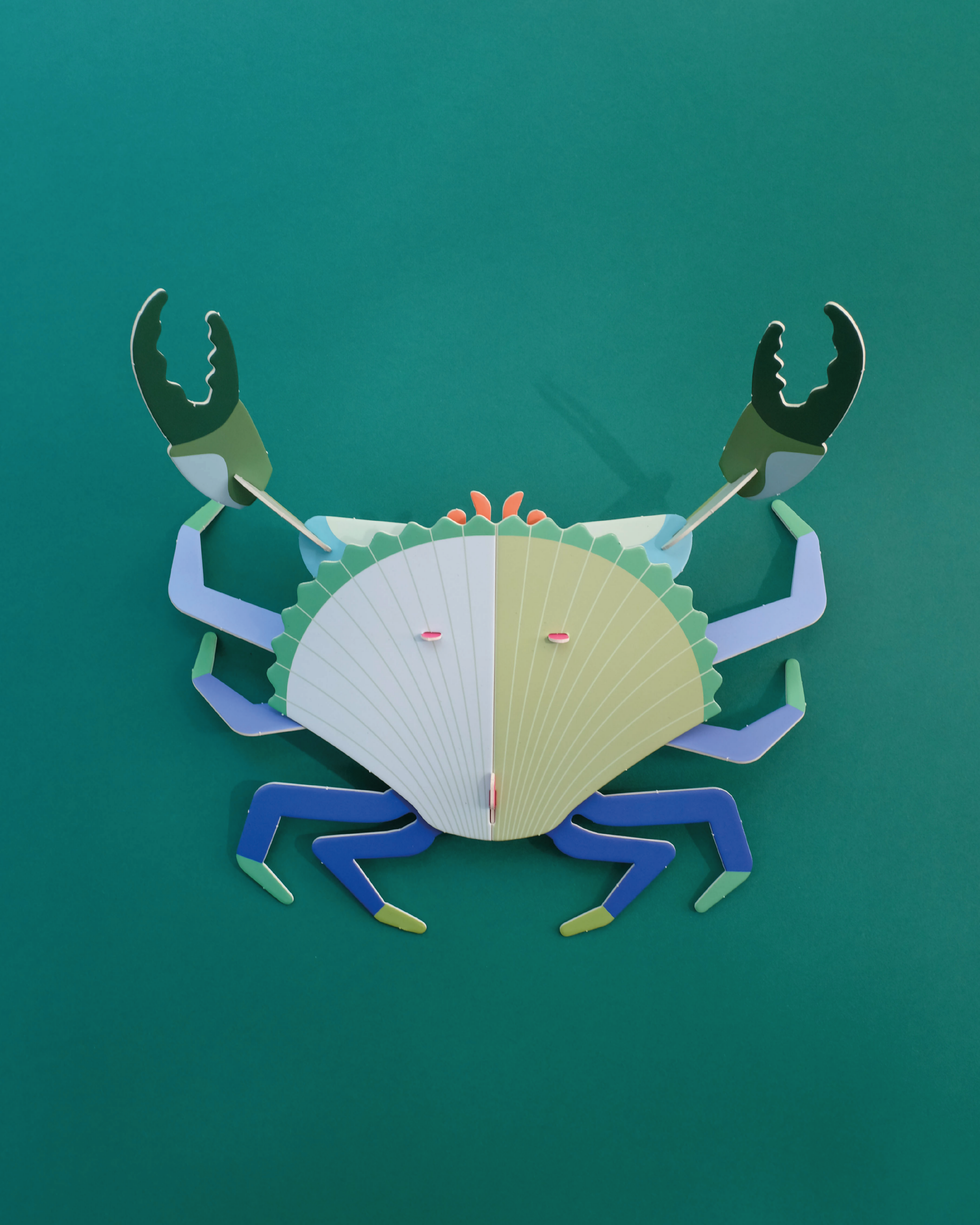 Jaiba marmola para armar