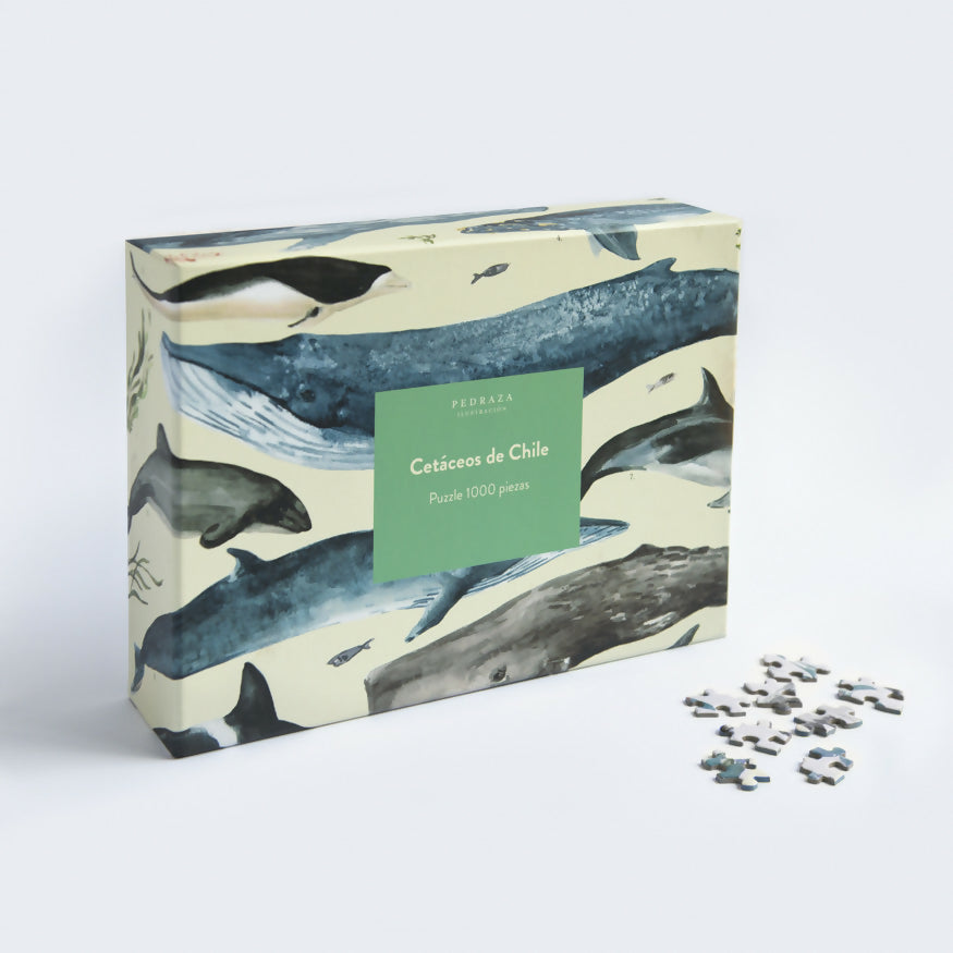 Puzzle Cetáceos de Chile