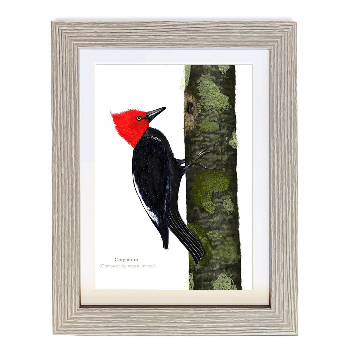 CUADRO CARPINTERO 1 A1 VGO con paspartu copia