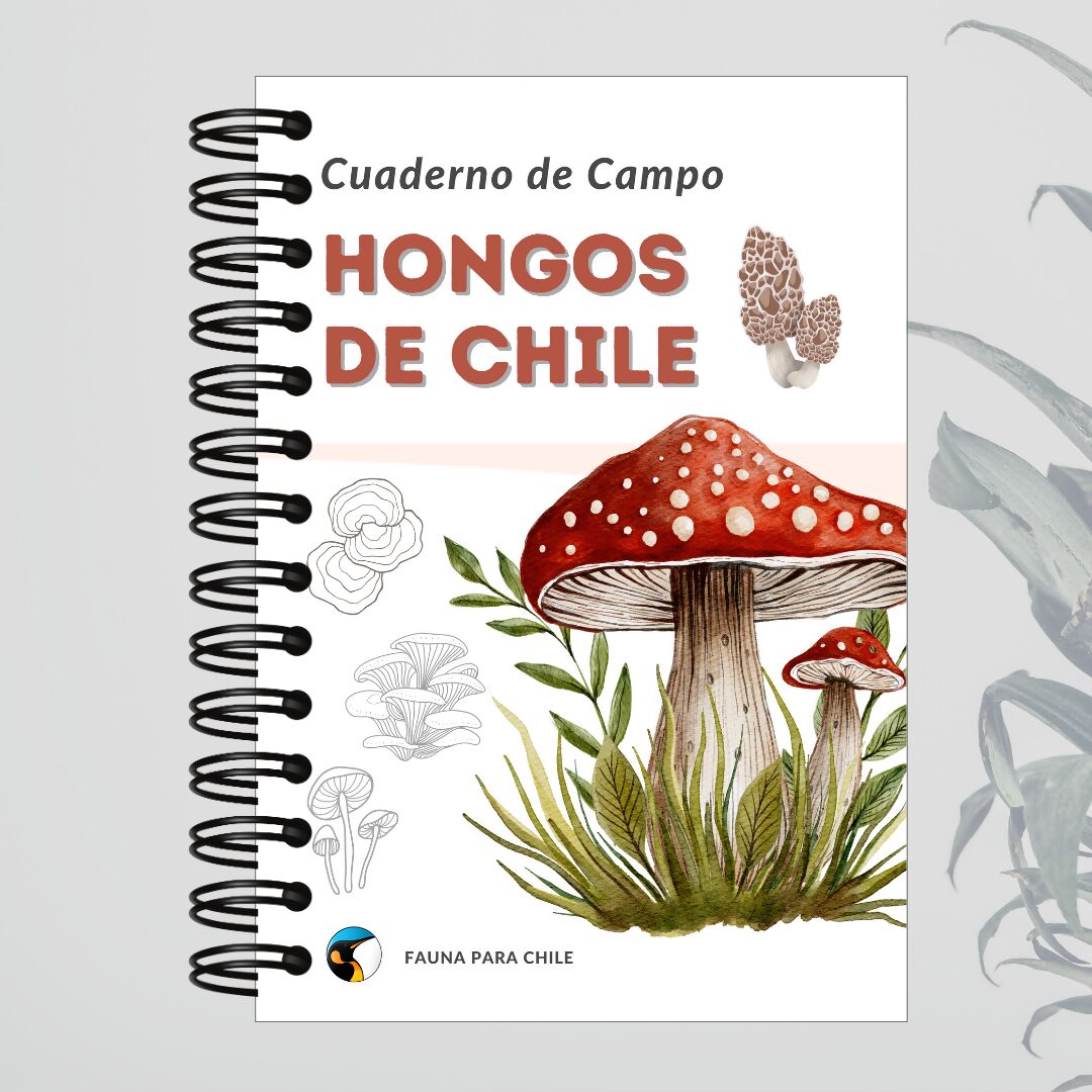 Cuaderno de Campo Hongos de Chile