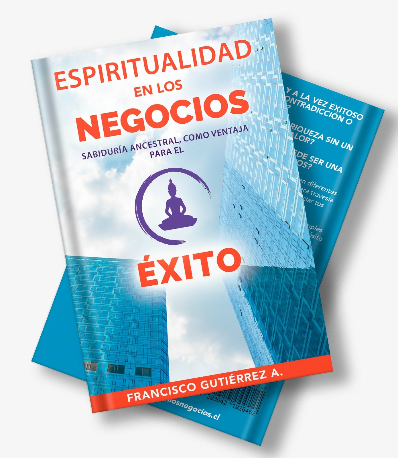 Libro "ESPIRITUALIDAD en los NEGOCIOS"