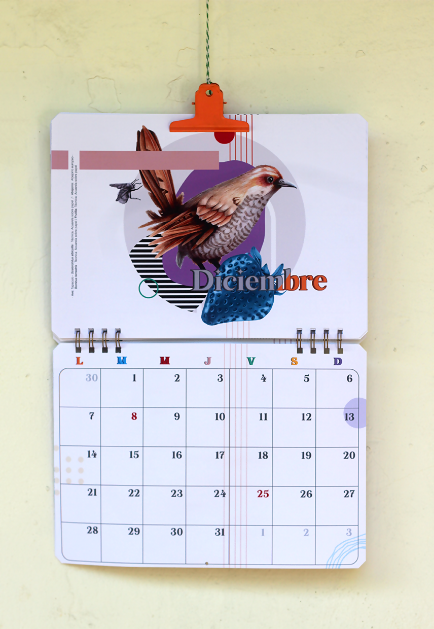 Calendario Muro 2026-2027