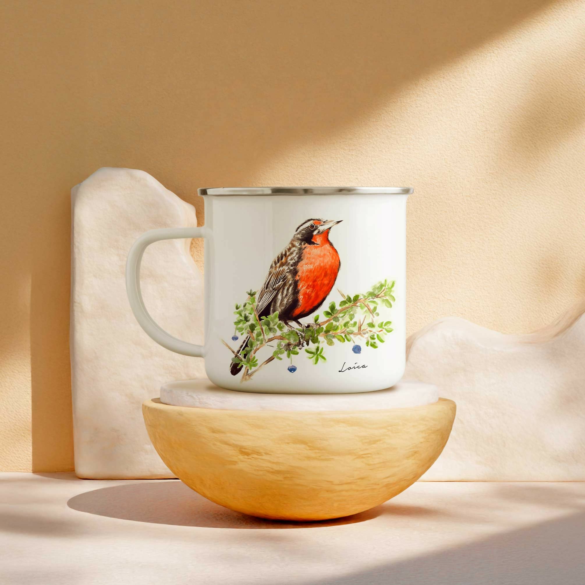 tazon-enlozado-loica