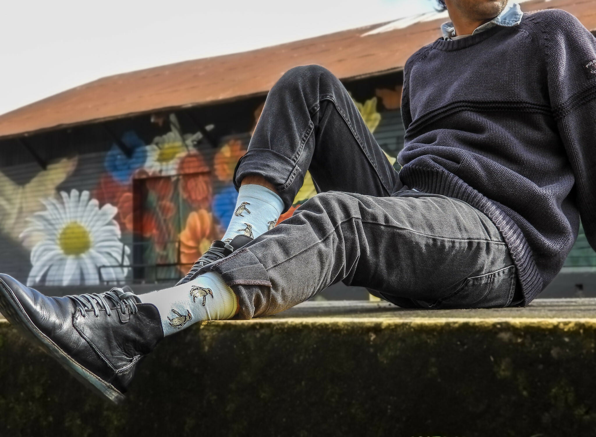 Calcetines con Diseño Pingüino de Humboldt