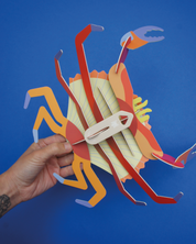 Jaiba marmola para armar