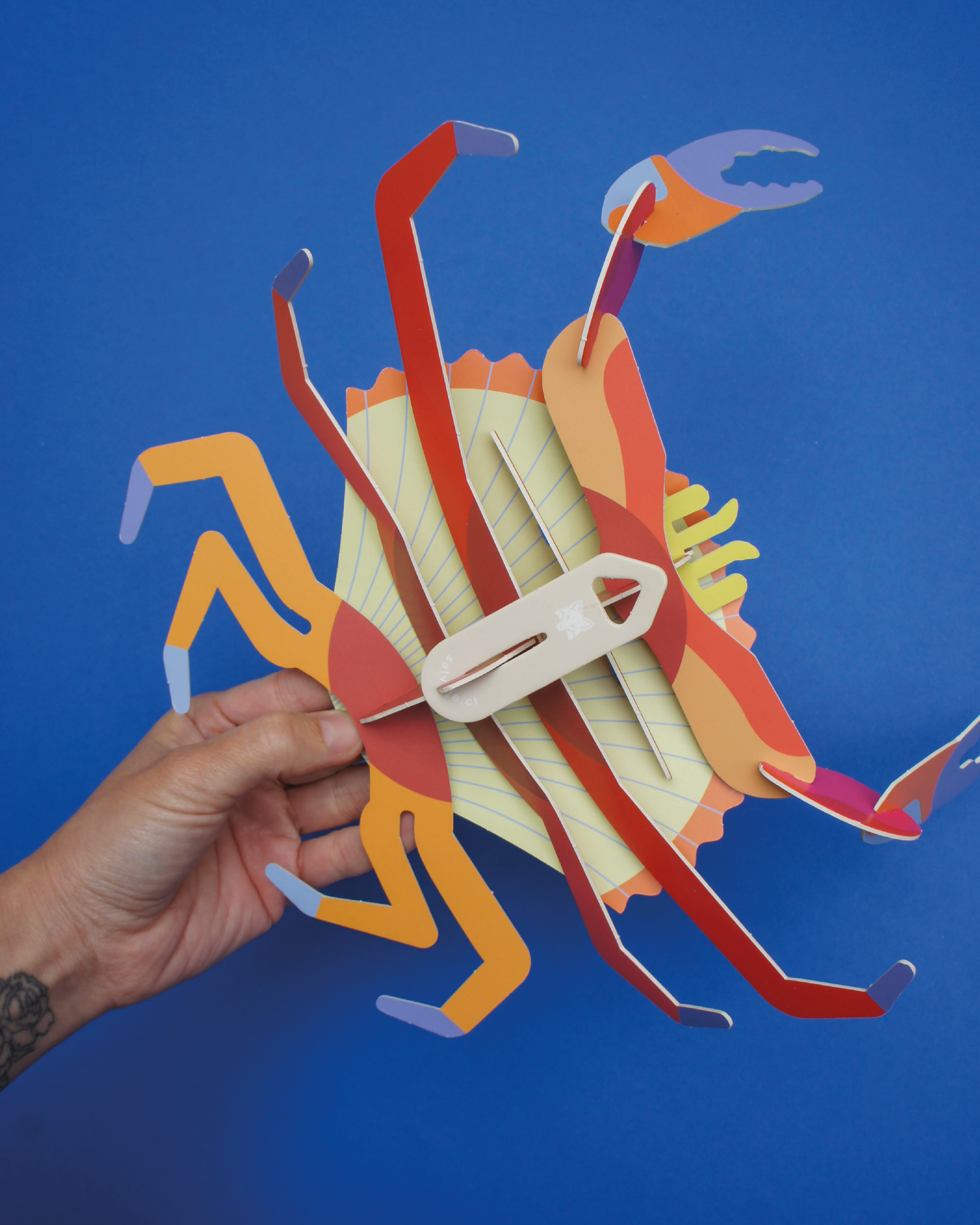 Jaiba marmola para armar