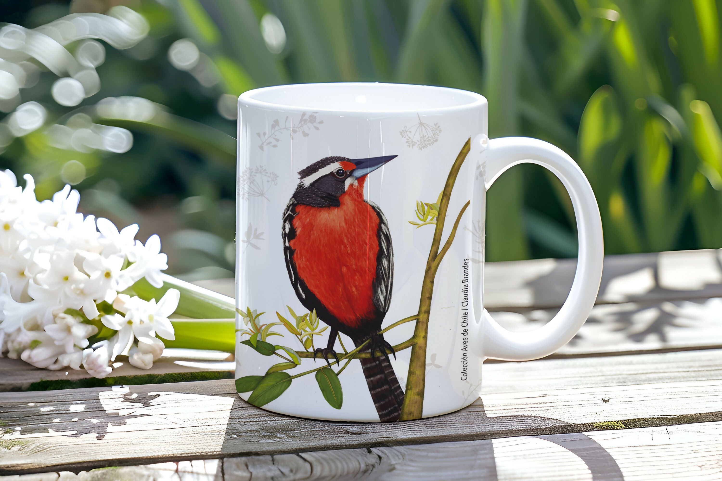 Loica primavera verde