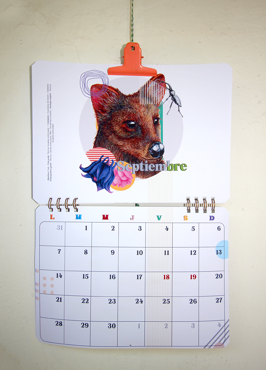 Calendario Muro 2026-2027