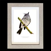 CUADRO CACHUDITO A1 VGO con paspartu copia