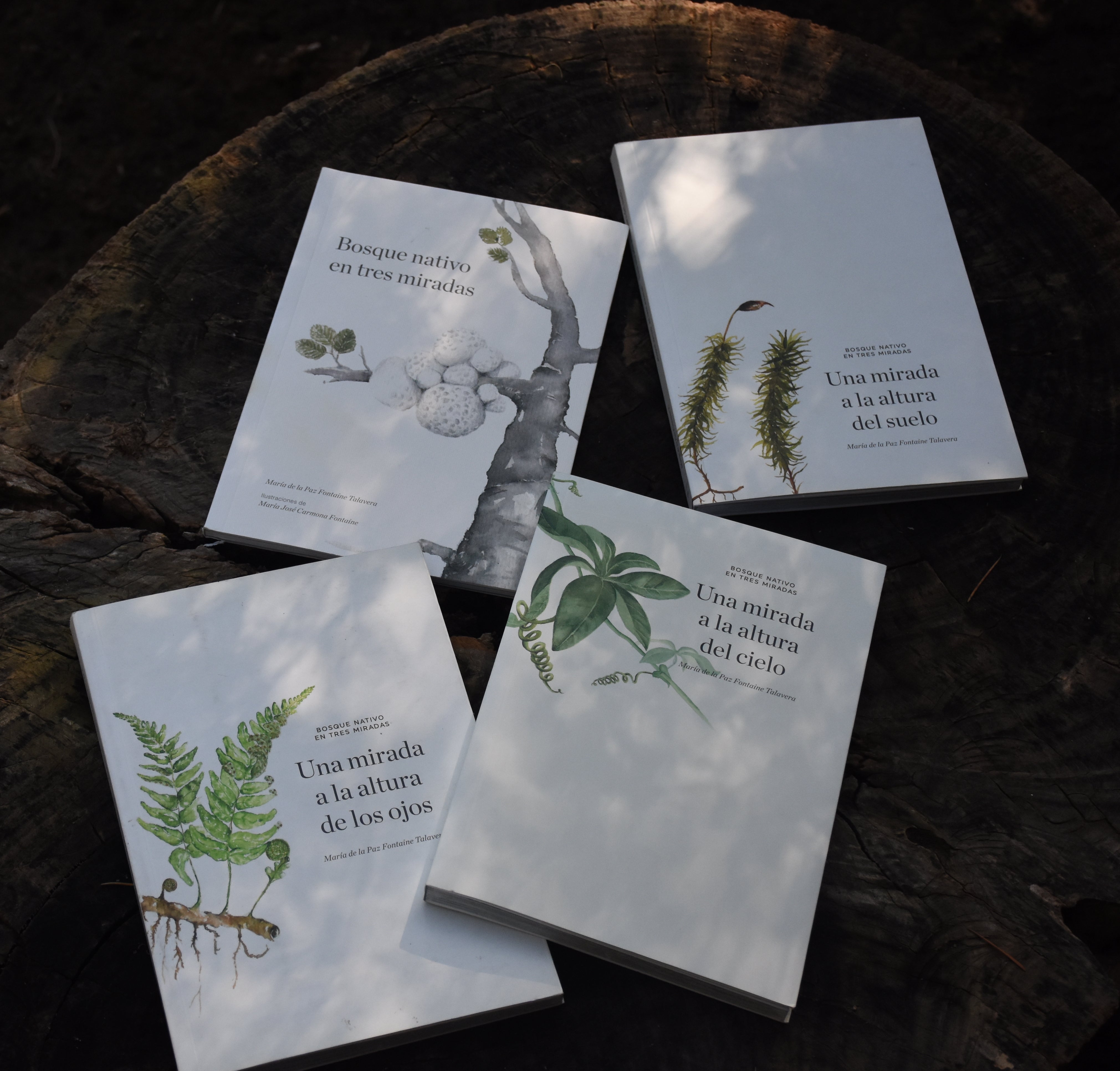 Libro Bosque Nativo en 3 miradas