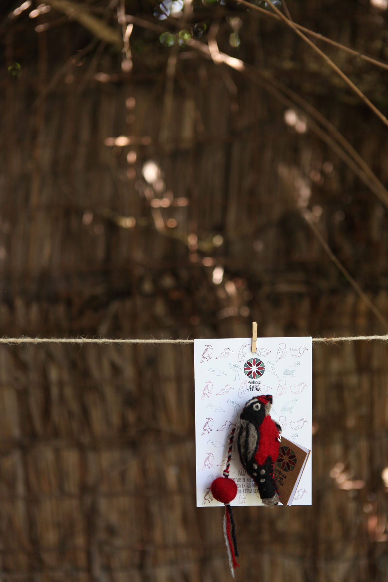 Pajarito marca libro Loica Negro