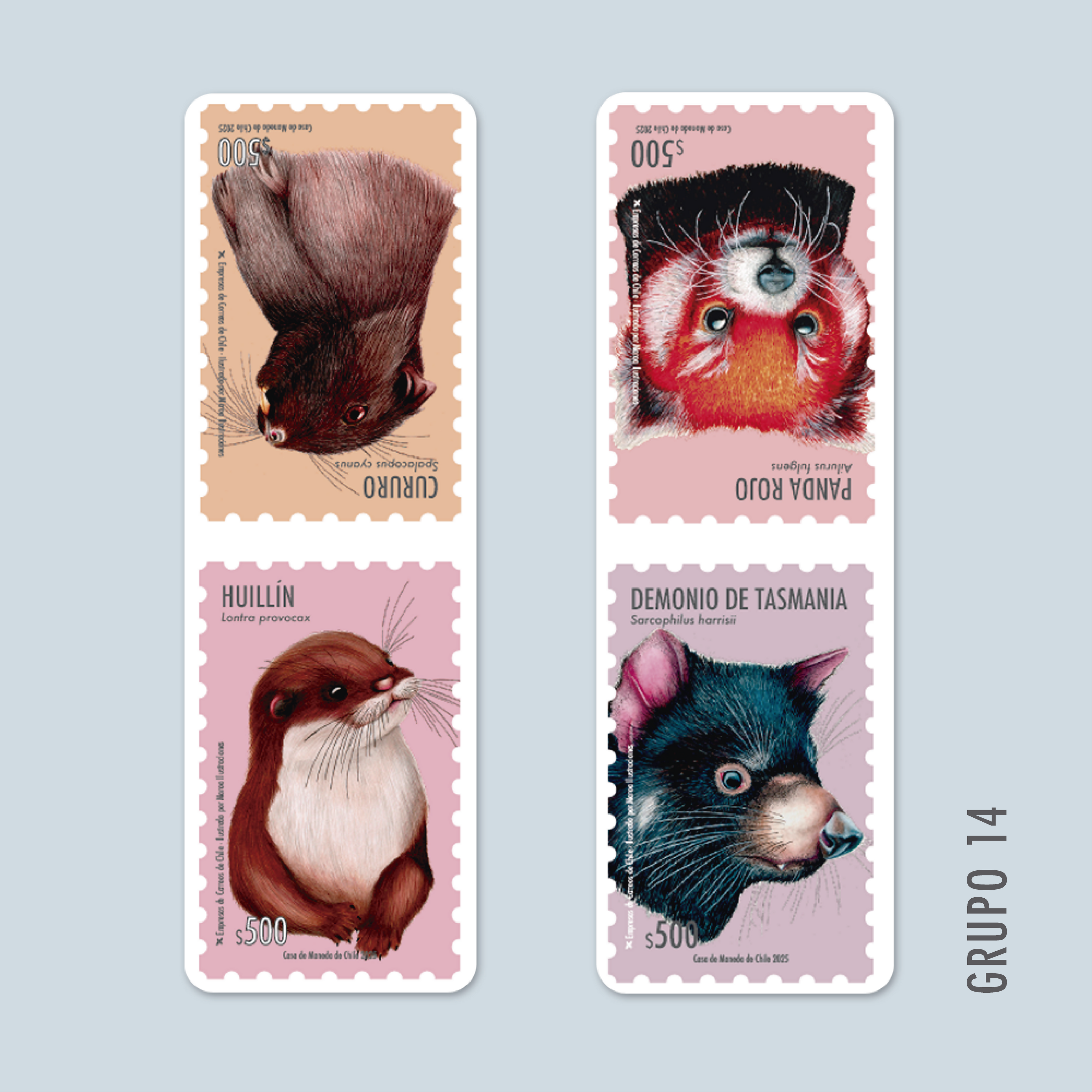 MaquetasMamíferos-02