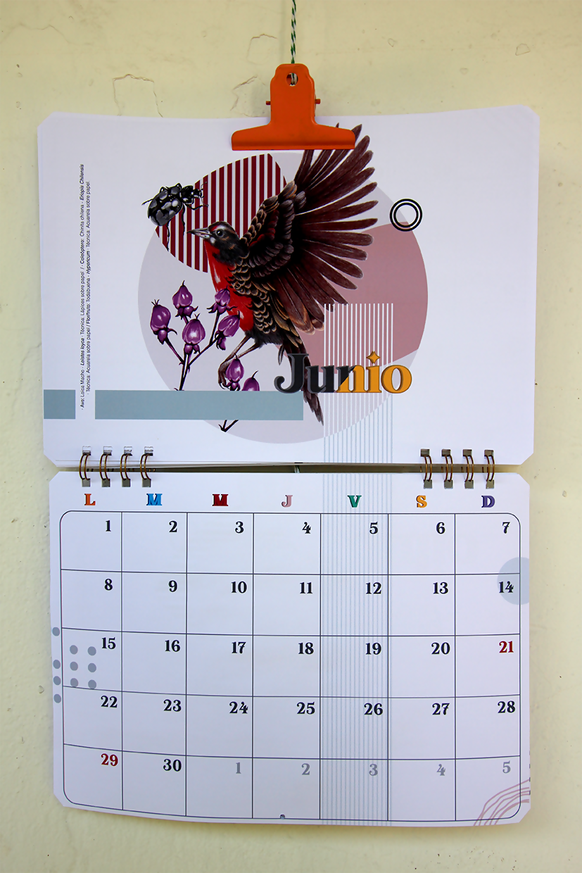 Calendario Muro 2026-2027