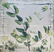 Pañuelo 60 x 60 Boldo