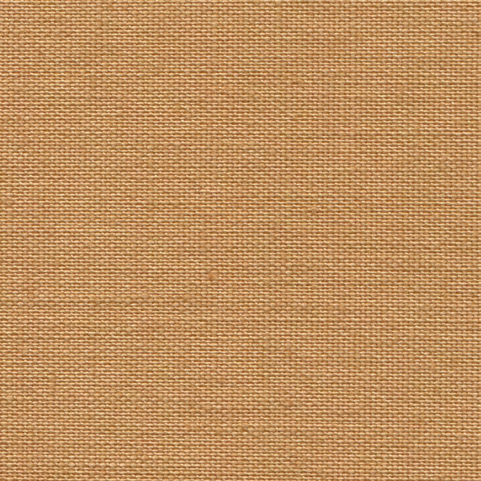 Familia de títeres de dedos