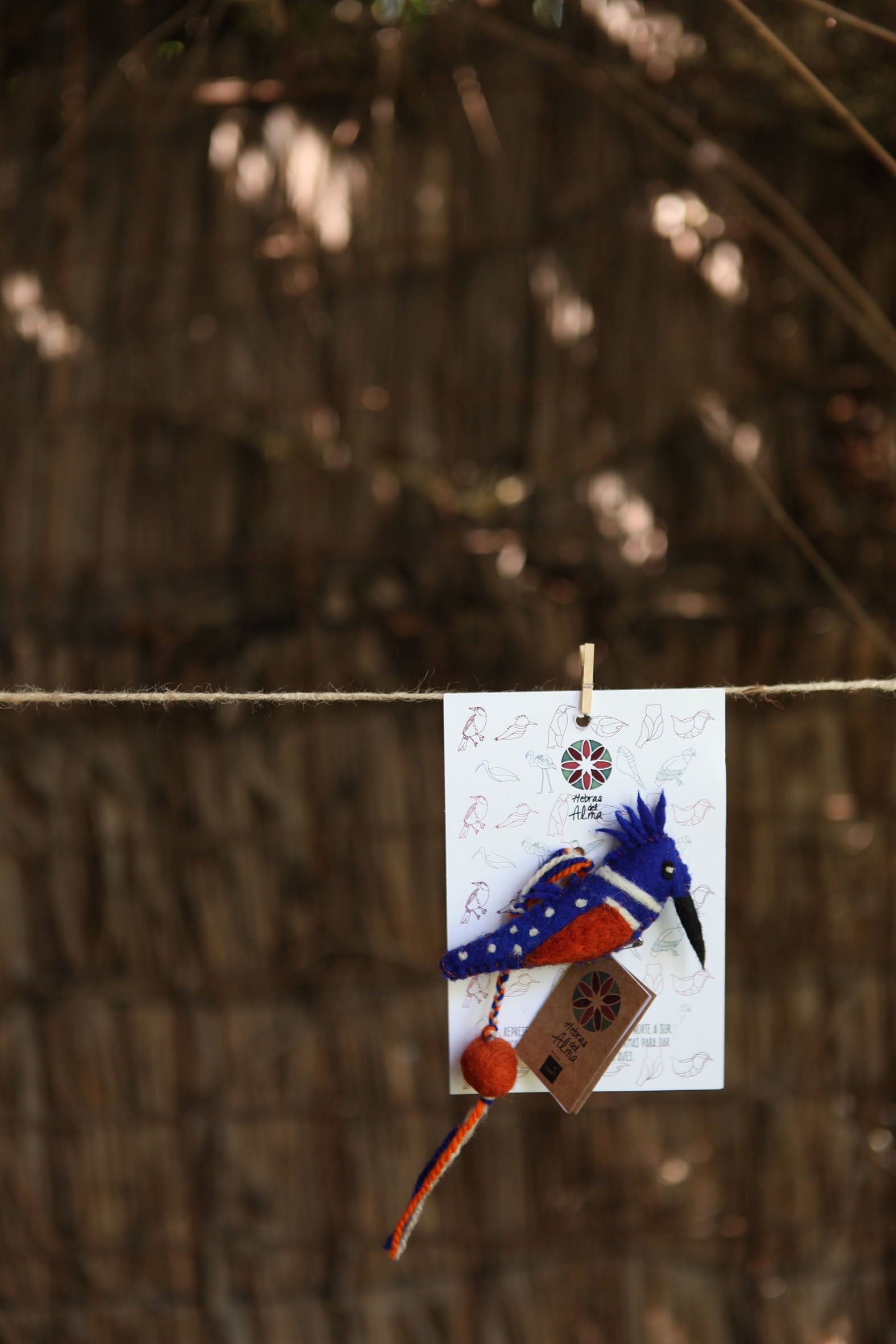 Pajarito marca libro Martin Pescador Azul