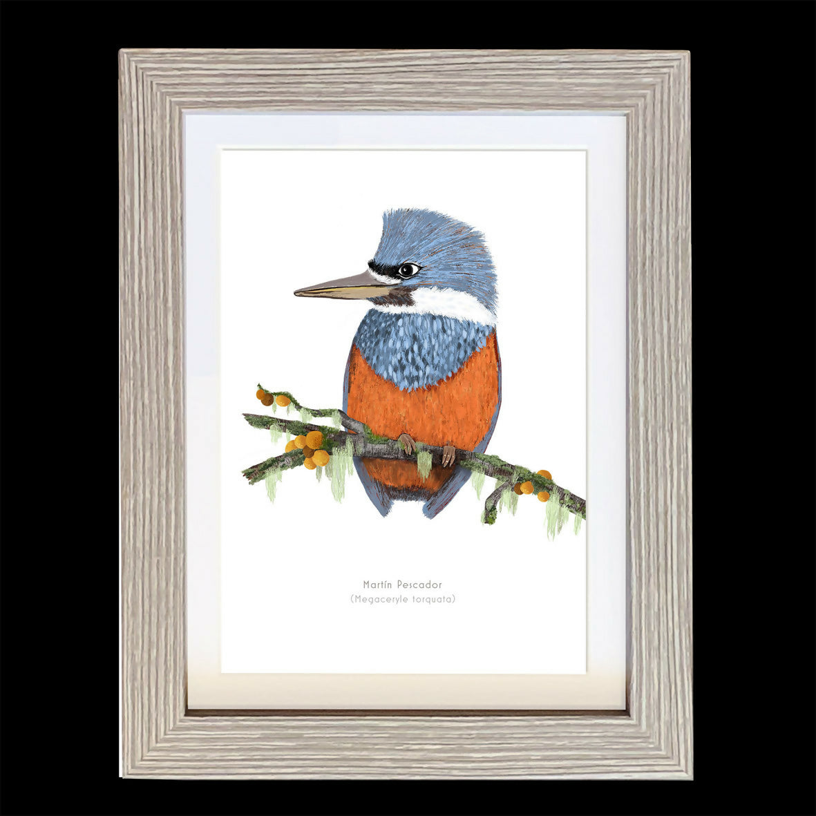 CUADRO A1 MARTIN NEGRO