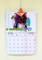 Calendario Muro 2026-2027