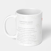 CARPINTERO TAZON POST 1