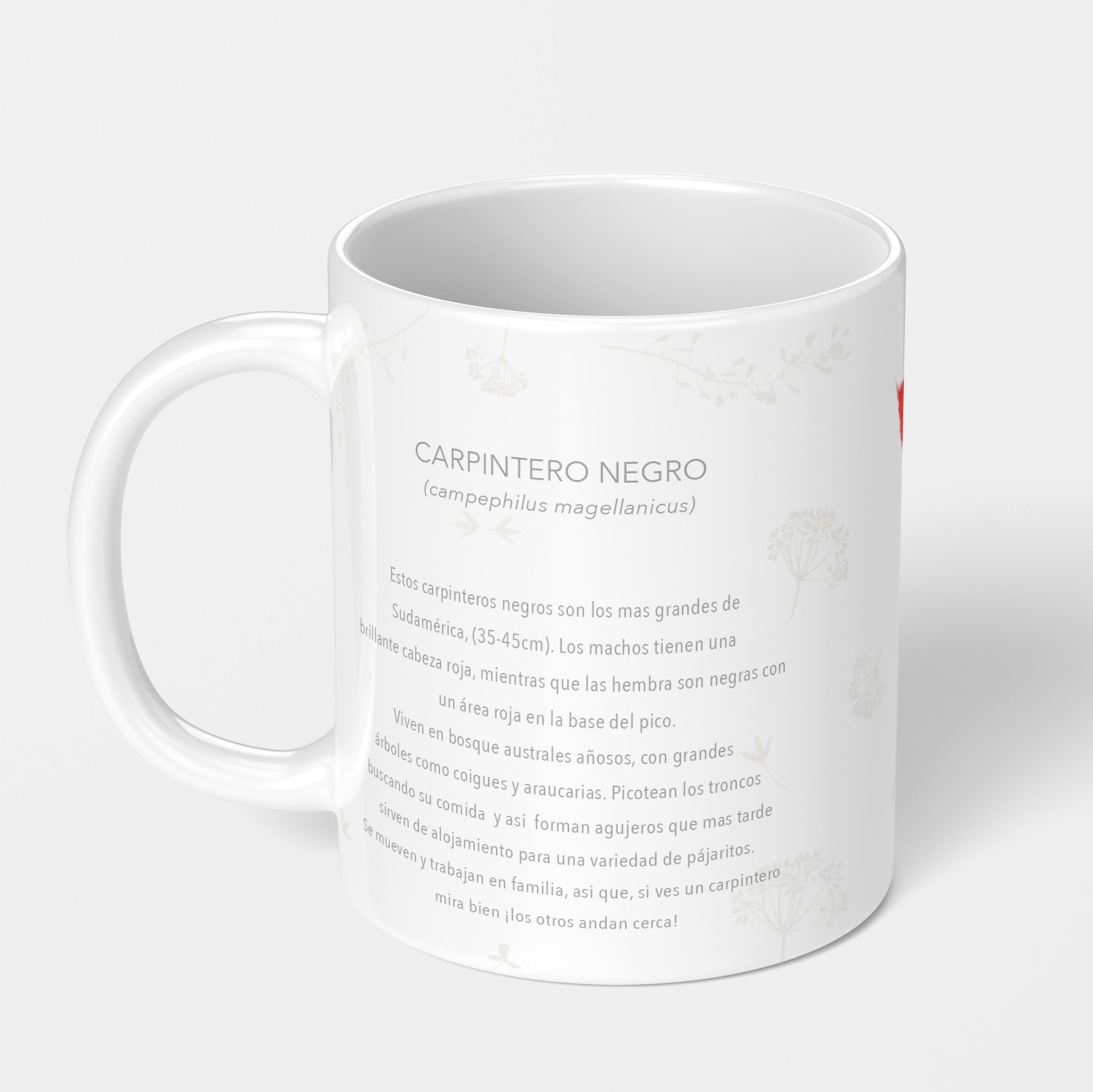 CARPINTERO TAZON POST 1