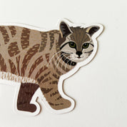 post iman medio gato