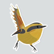 Rayadito iman foto producto