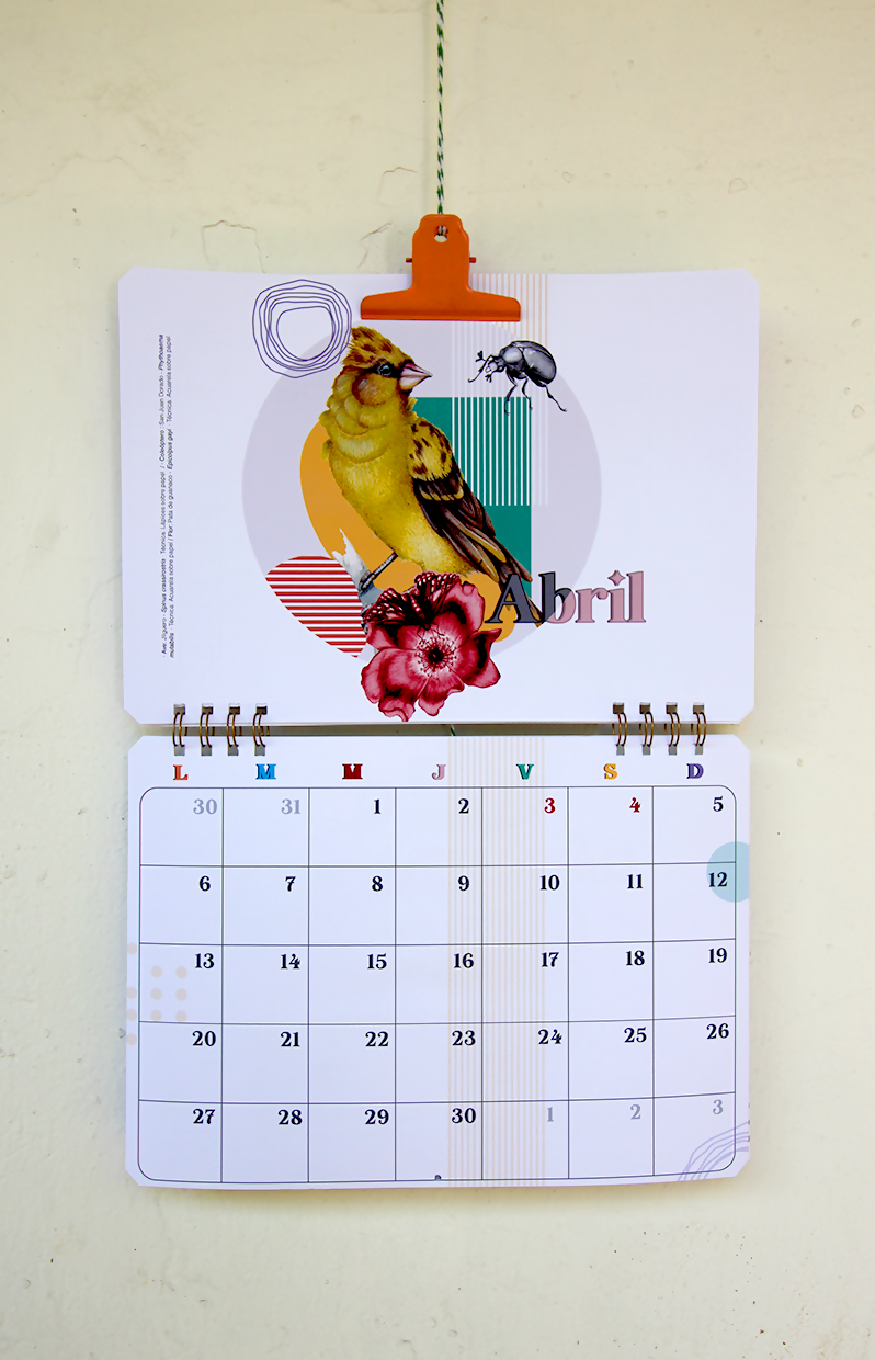 Calendario Muro 2026-2027