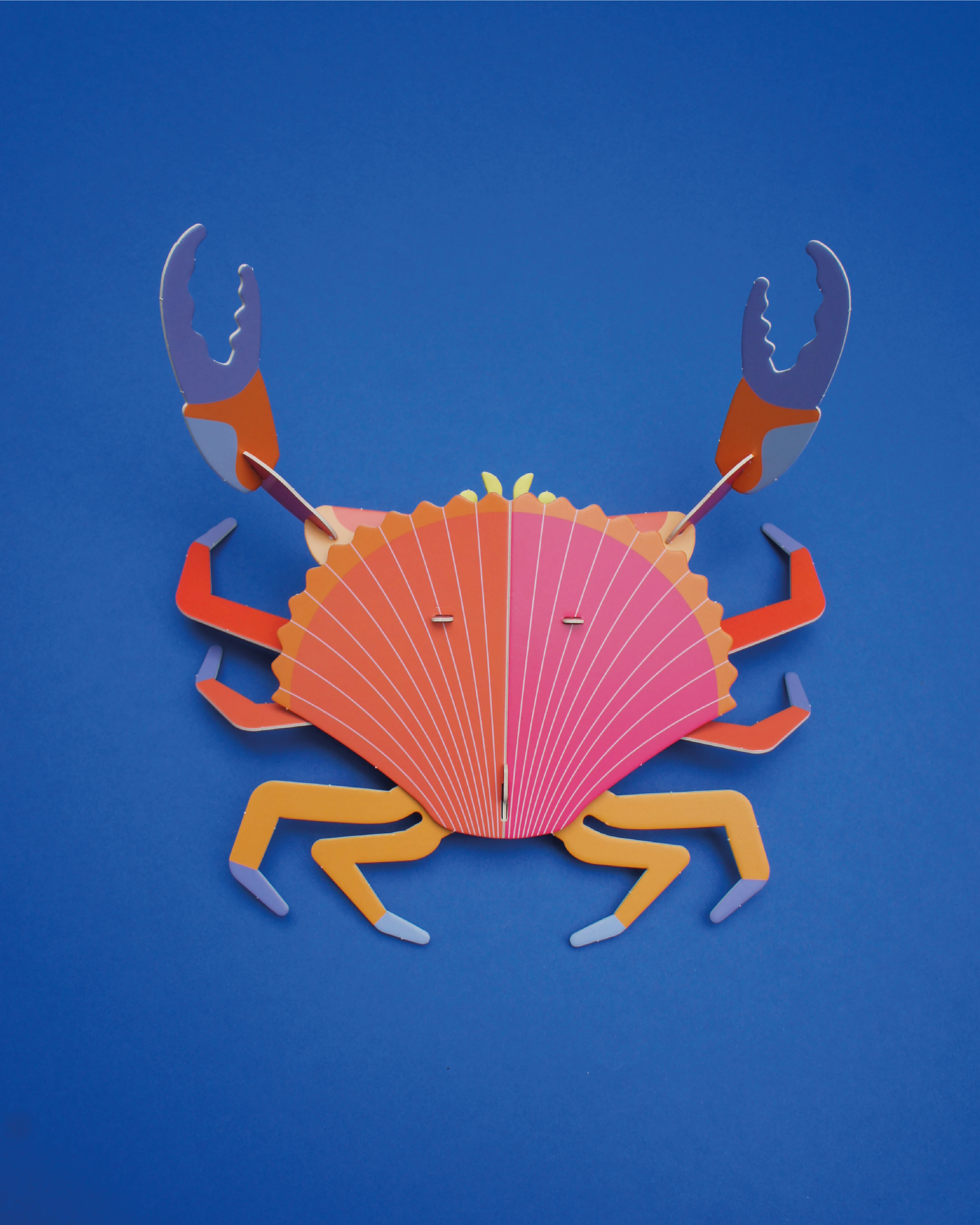 Jaiba marmola para armar