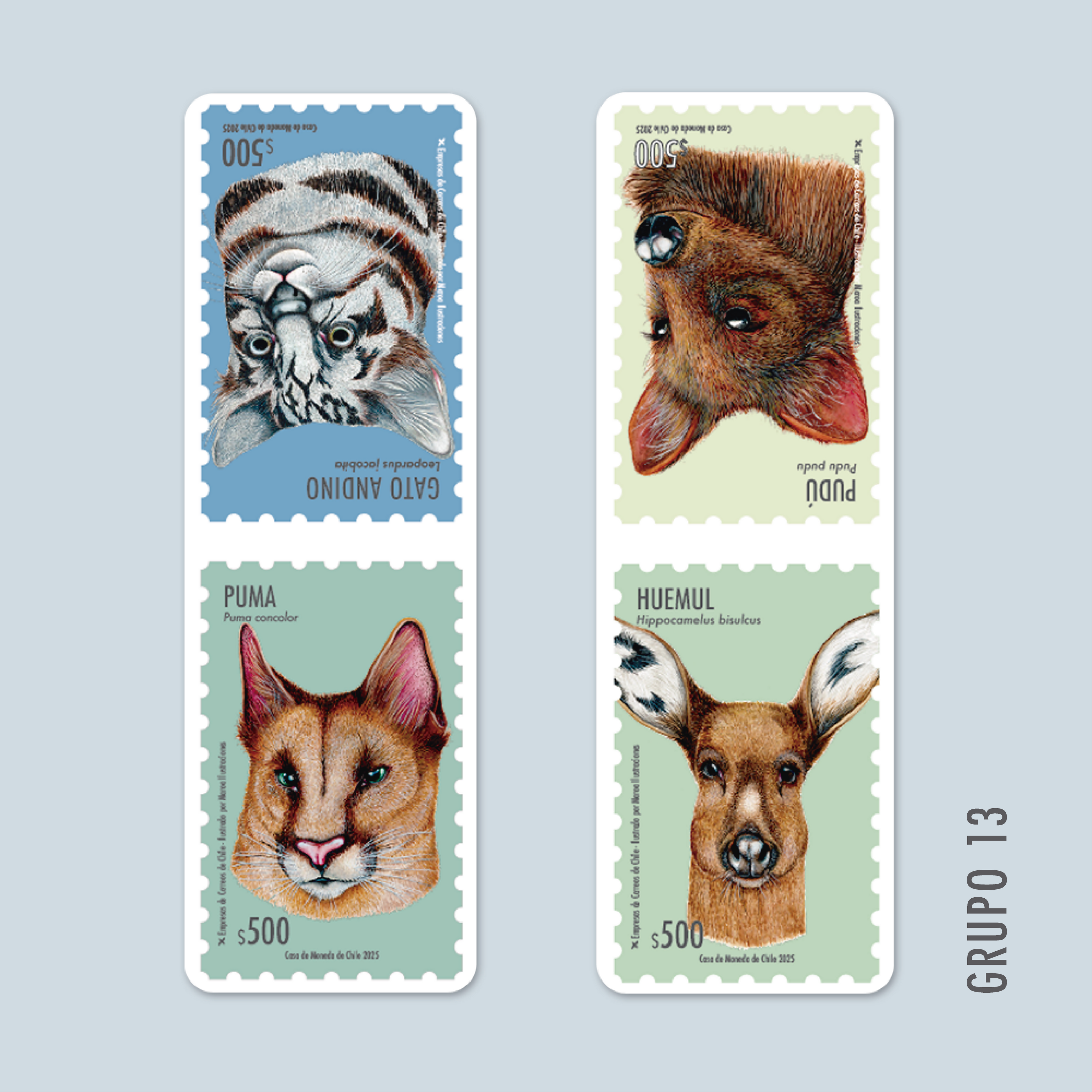 MaquetasMamíferos-01