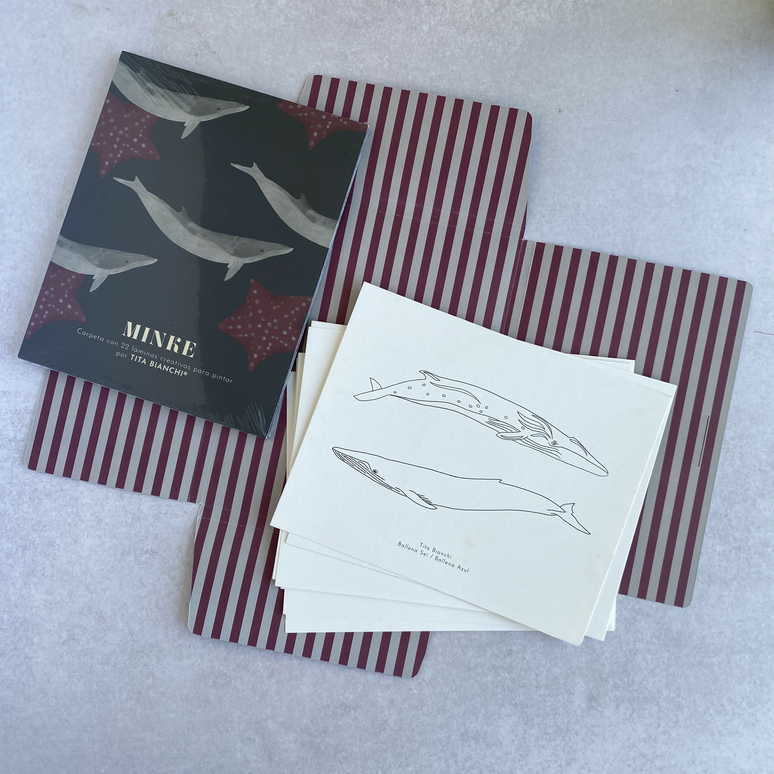 Carpeta Minke con 22 láminas para pintar