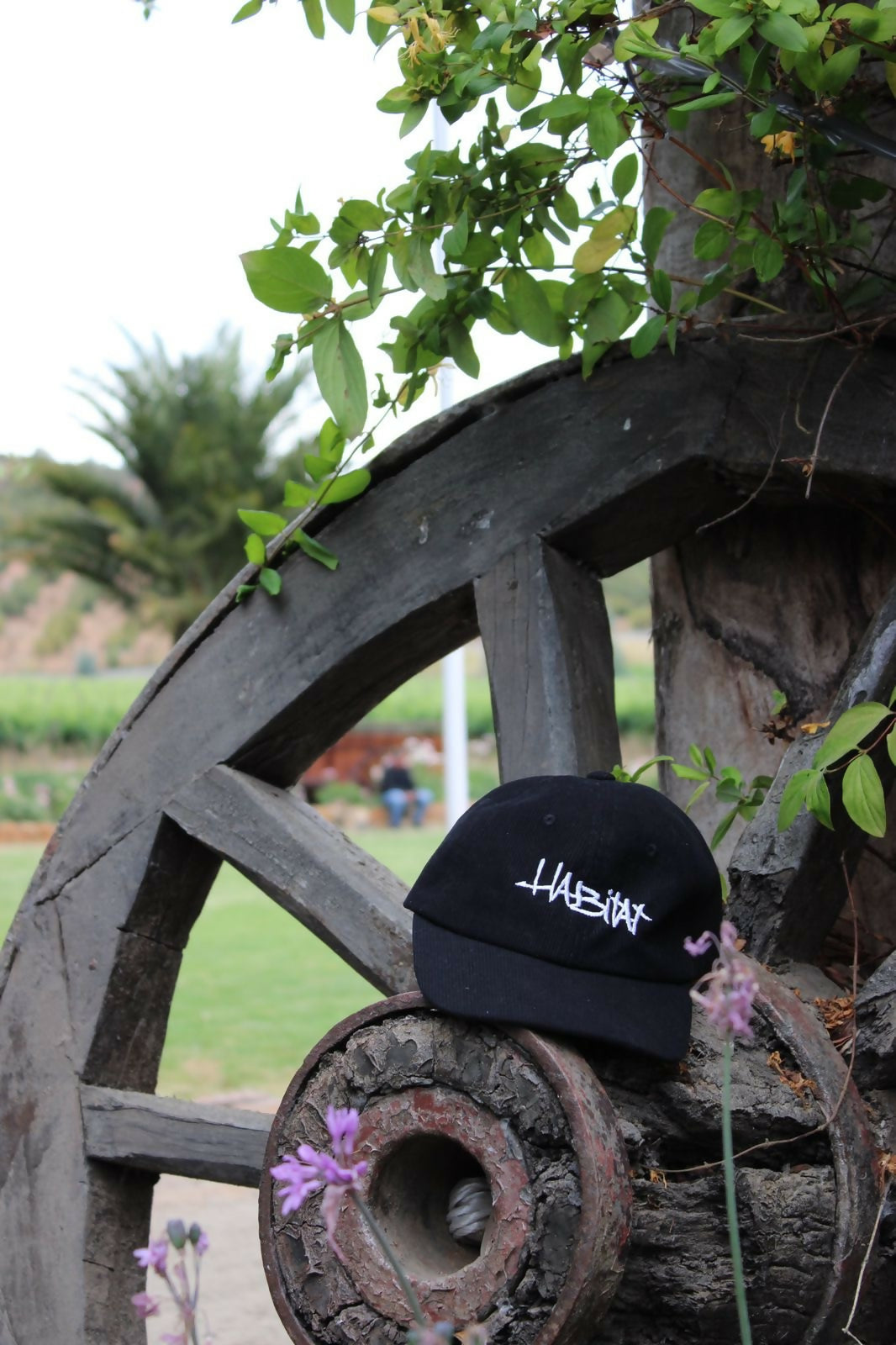 Jockey HABITAT BLACK- cotele